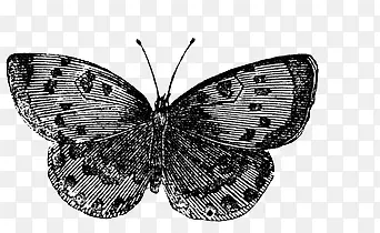 �ֻ����-������