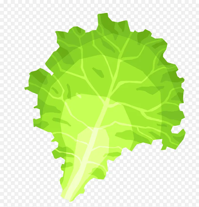 ʸ�����Ĳ�Ҷ��-������