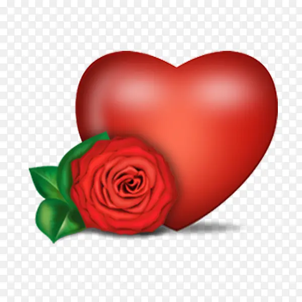 õ�尮��-������