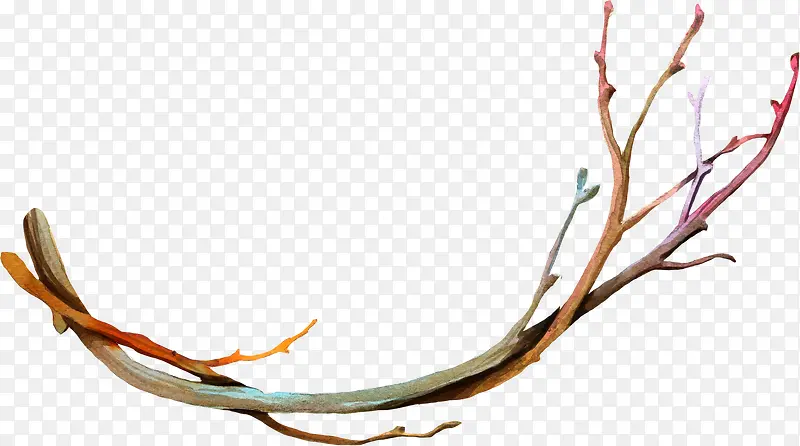 ˮ����֦-������