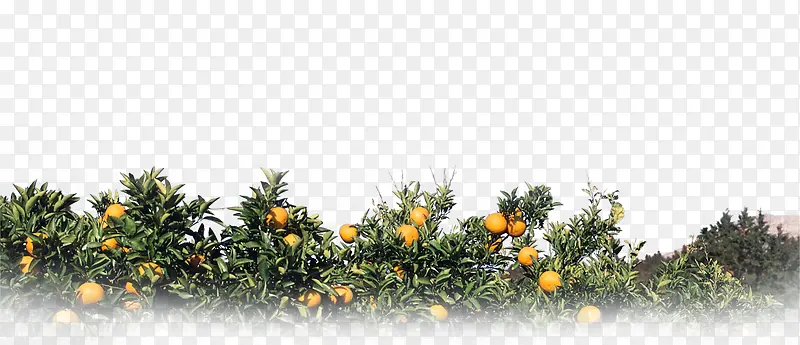 ����-������