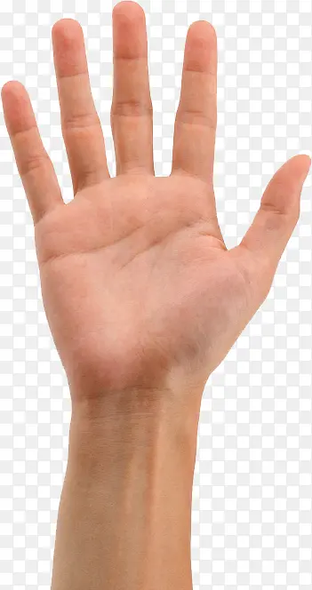 ���������ָ����-������