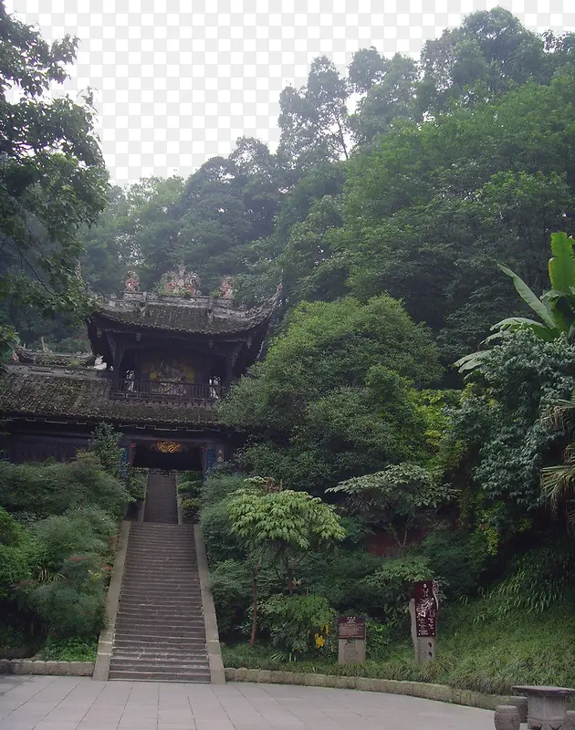 ���ɽ������Ӱ-������