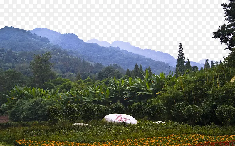 ���ɽ������Ӱ-������