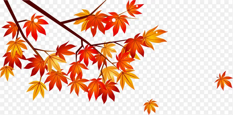 ��Ҷ-������