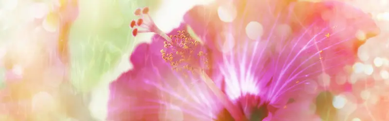 ���ﻨ�㰮����������-������