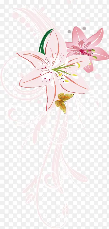 ��Լ���� ��-������