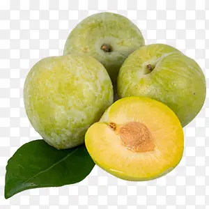 �̱�ʯ����-������