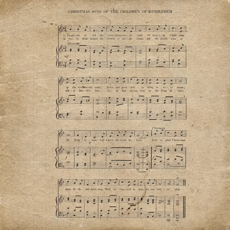 �����ױ���-������