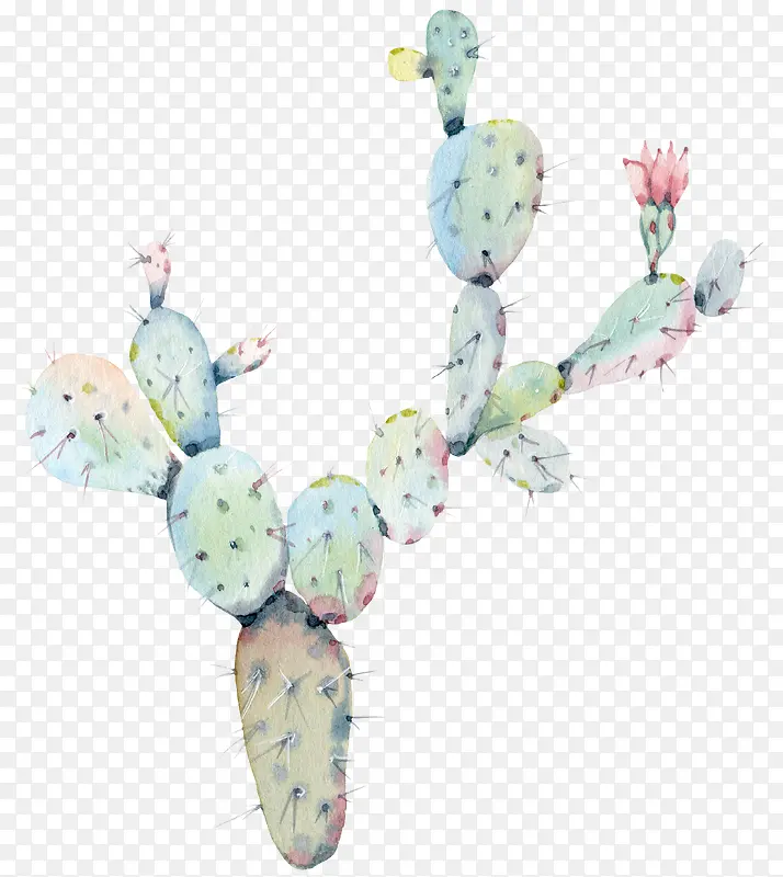 ˮ�ʻ�����ɫֲ��������-������