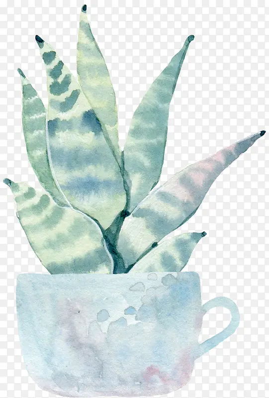 ˮ�ʻ�����ɫֲ��������-������