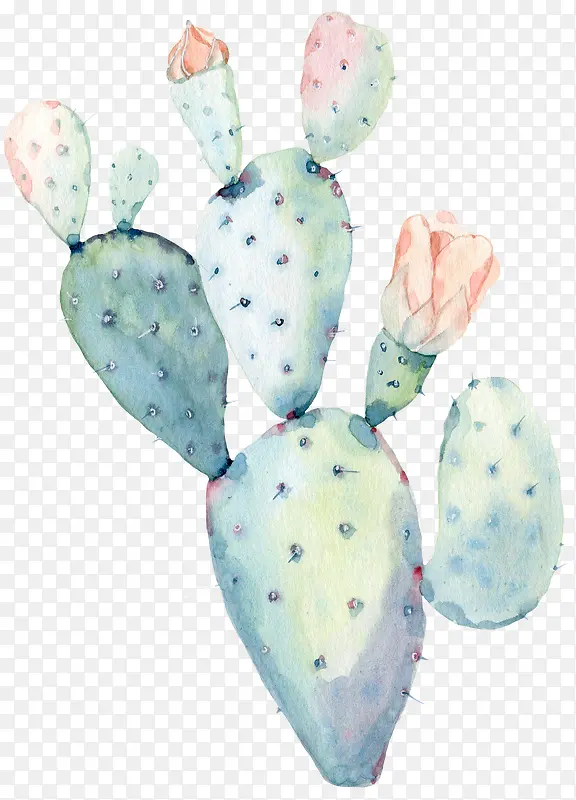 ˮ�ʻ�����ɫֲ��������-������