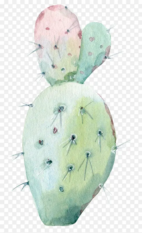 ˮ�ʻ���������ֲ��-������