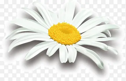 ʱ��С��-������