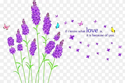 ޹�²ݷ���-������