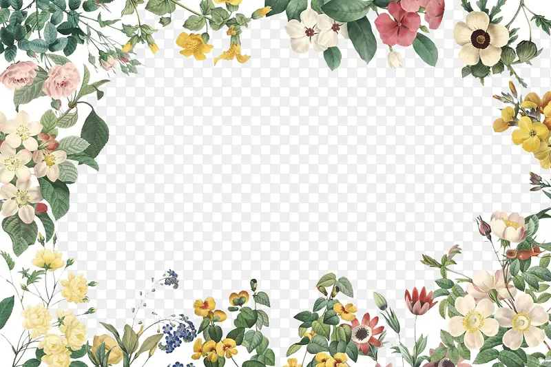 �����ֻ滨��-������