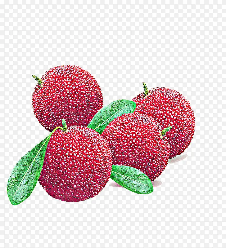 ��÷ˮ��-������