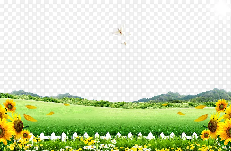 �̲���ɽ-������