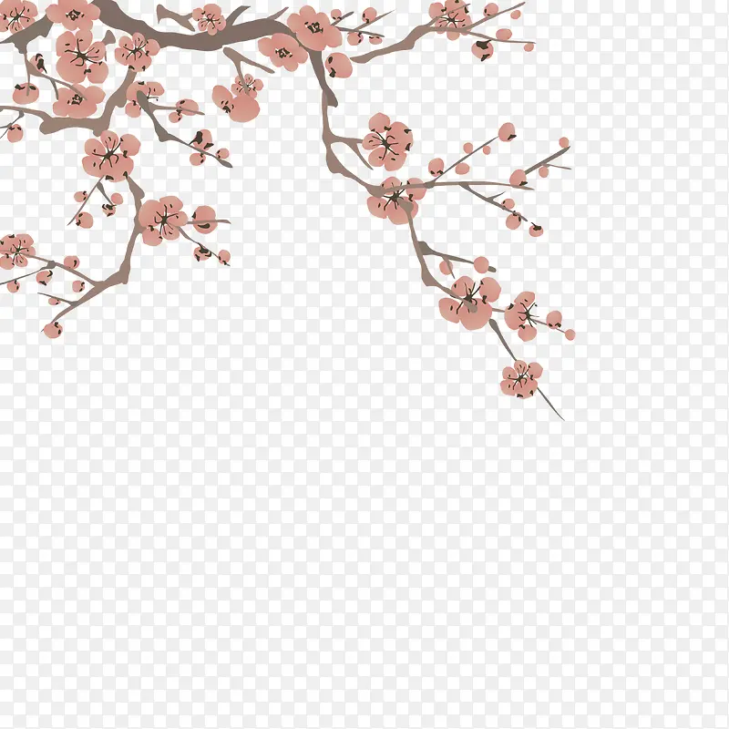 ÷����֦-������