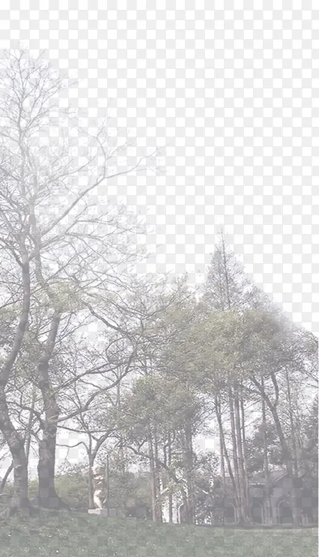 ��֦������������-������