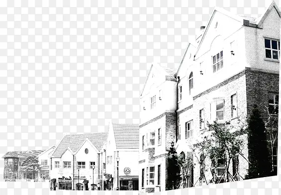 ��ɫ�������Ա�����-������