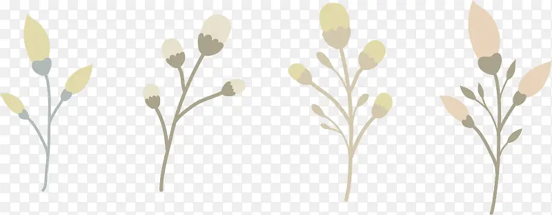 ��֦-������