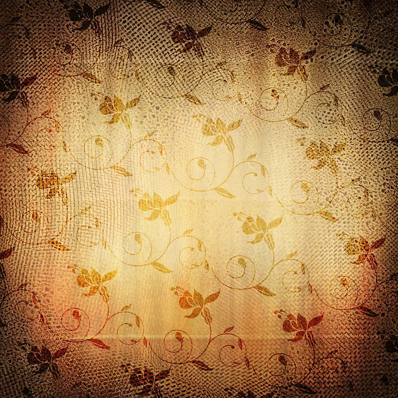 ���Ż�����������-������