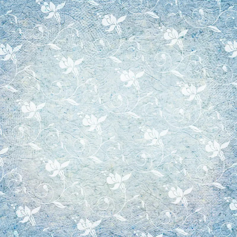 ���Ʊ���-������