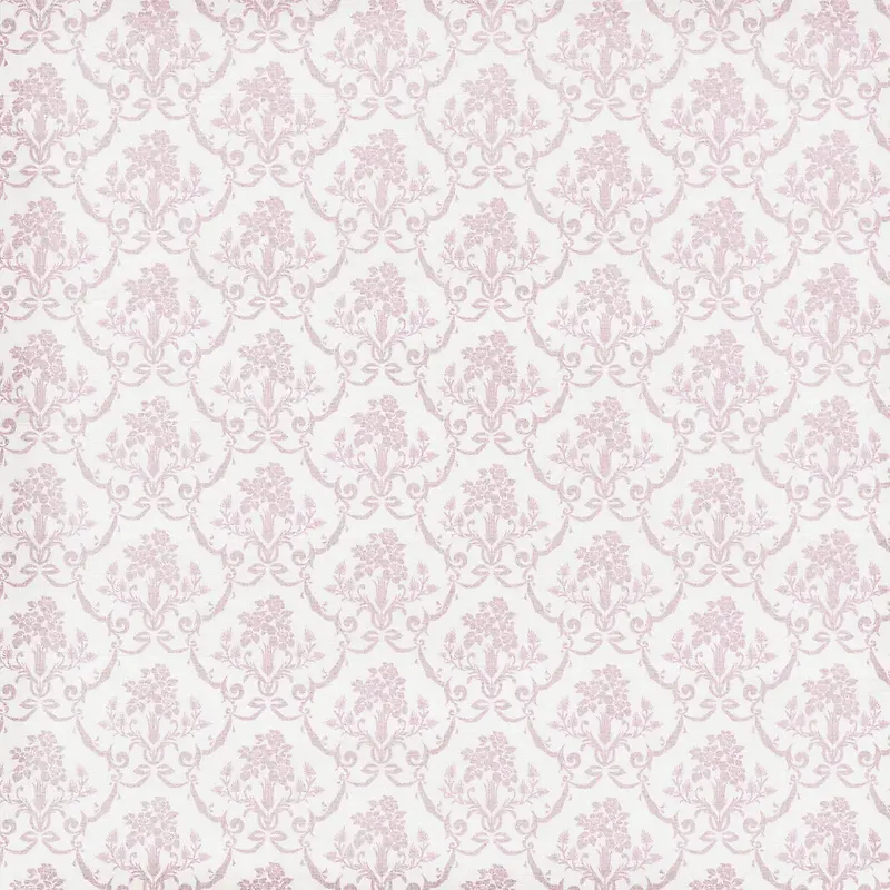 ���Ż��Ʊ���-������