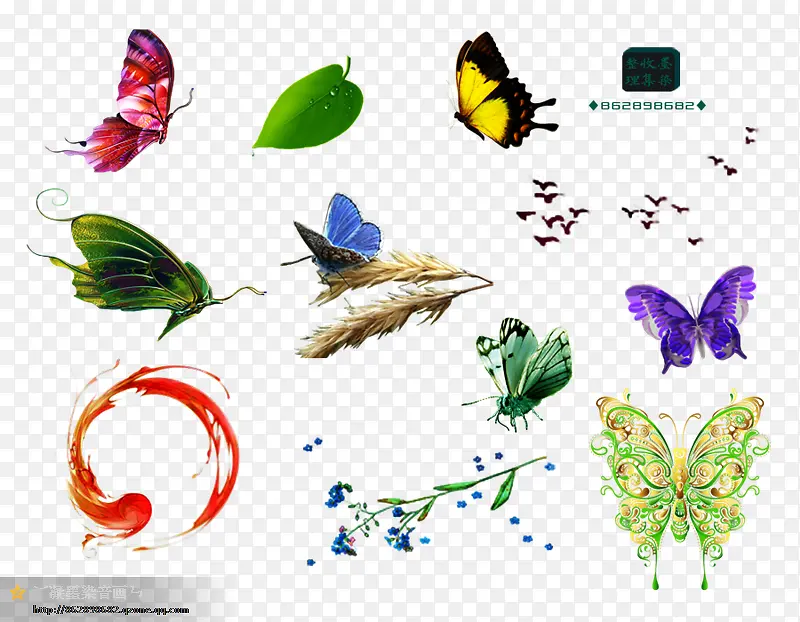 ��ʽ��ɫ�����ֻ�-������