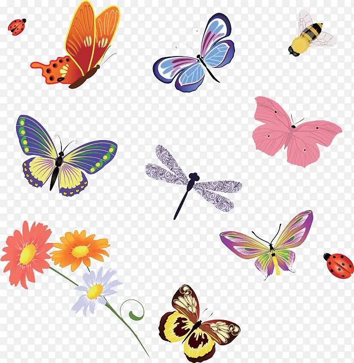 �����������ز�-������