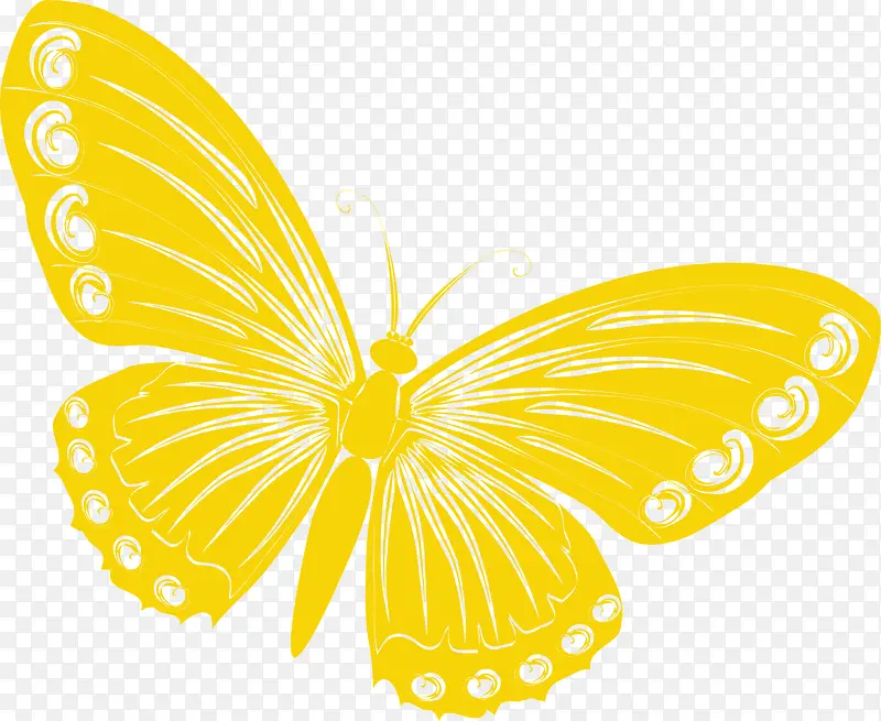 Ψ����ɫ����-������