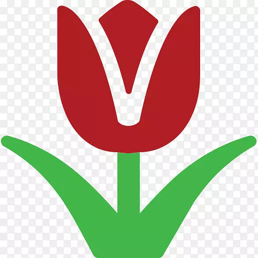 �������ֶ�����ֽ�������-������-������