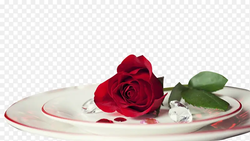 õ������-������