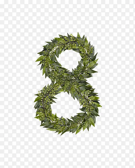 ��Ҷ��ĸ���� 8-������