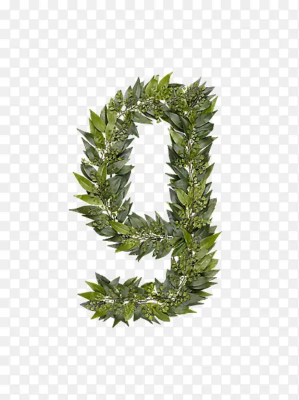 ��Ҷ��ĸg-������