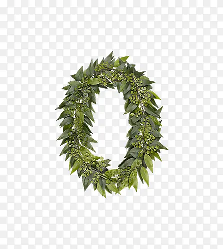 ��Ҷ��ĸo-������