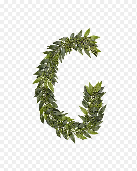 ��Ҷ��ĸg-������