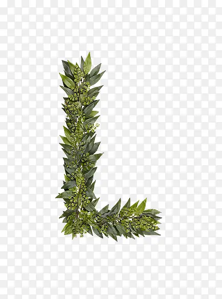 ��Ҷ��ĸl-������