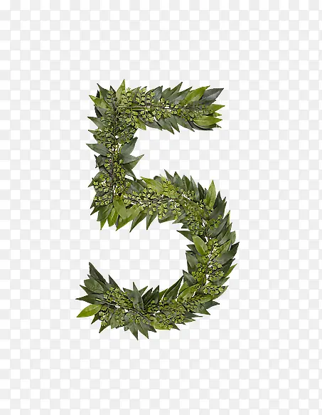 ��Ҷ��ĸ����5-������