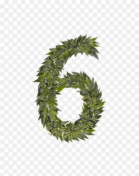 ��Ҷ��ĸ����6-������