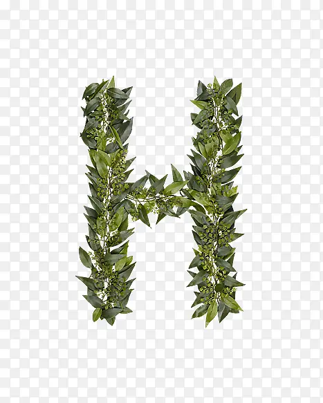 ��Ҷ��ĸh-������