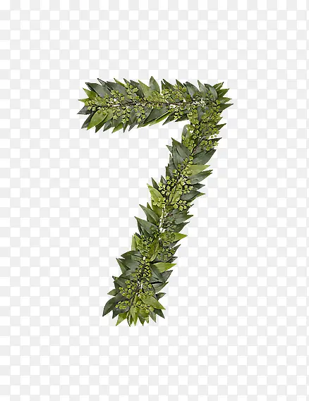 ��Ҷ��ĸ����7-������