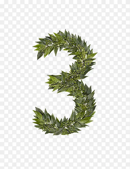 ��Ҷ��ĸ����3-������