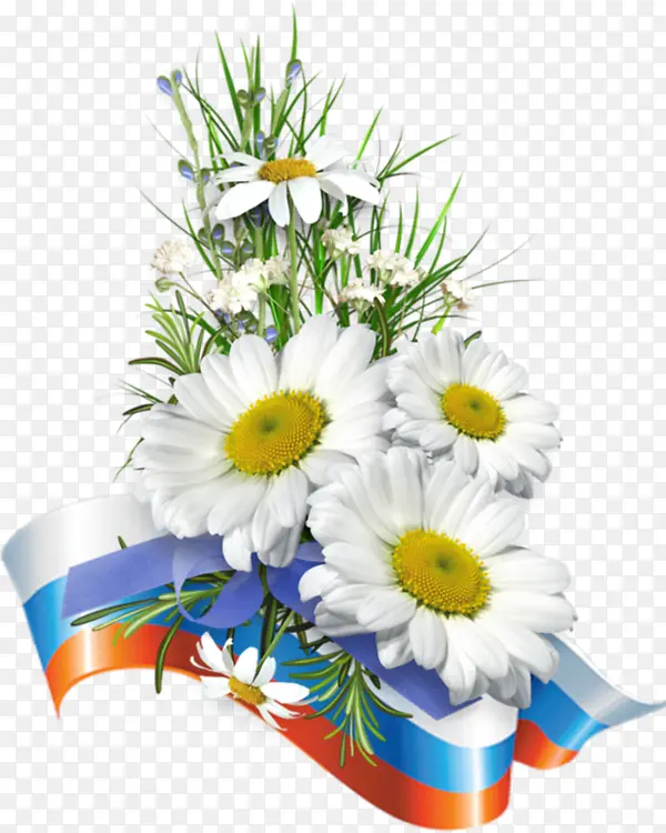 ��ɫ�ľջ�-������