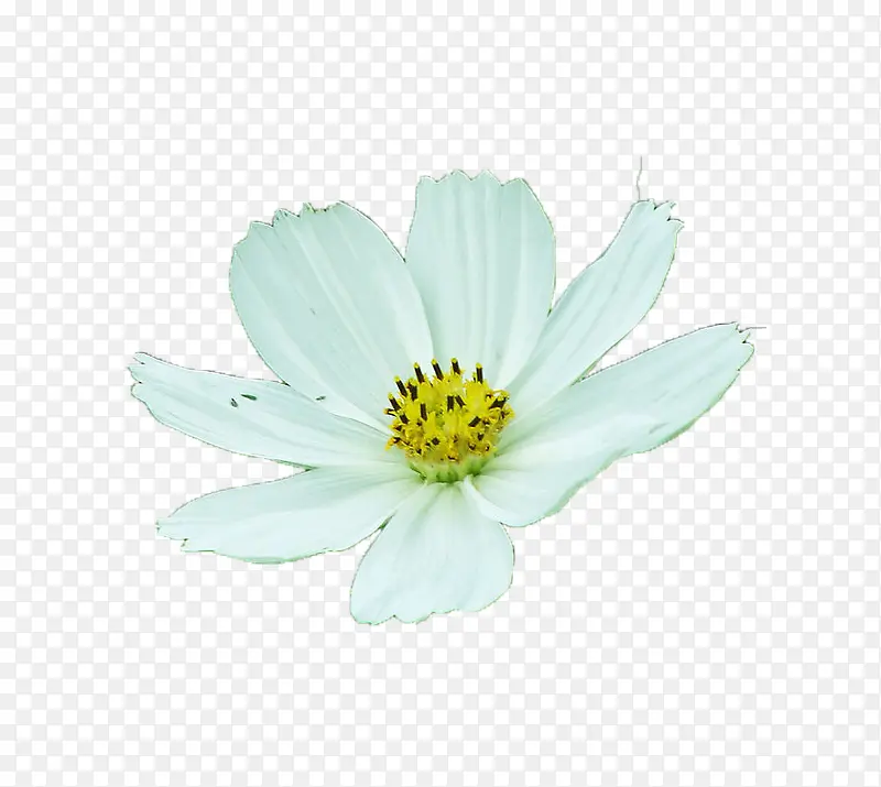 ��ɫ�Ļ���-������