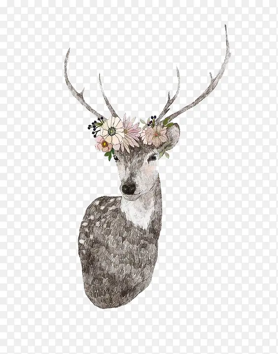 ÷��¹װ���ز�-������