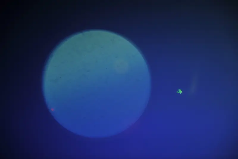 ��ɫ��������-������