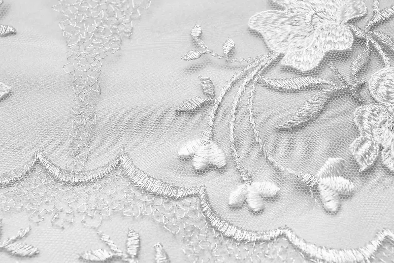 Ư����˿���Ʊ���-������