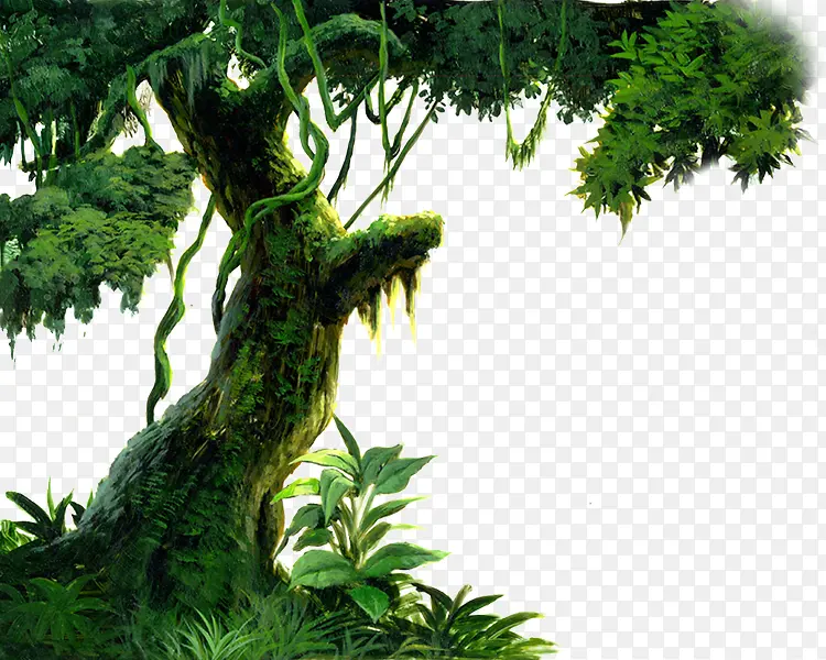 �����ز�-������